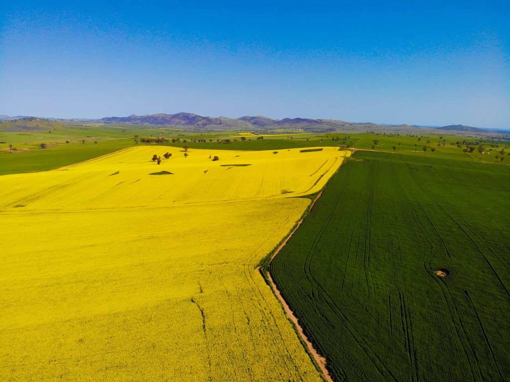 RIVERINA, NEW SOUTH WALES