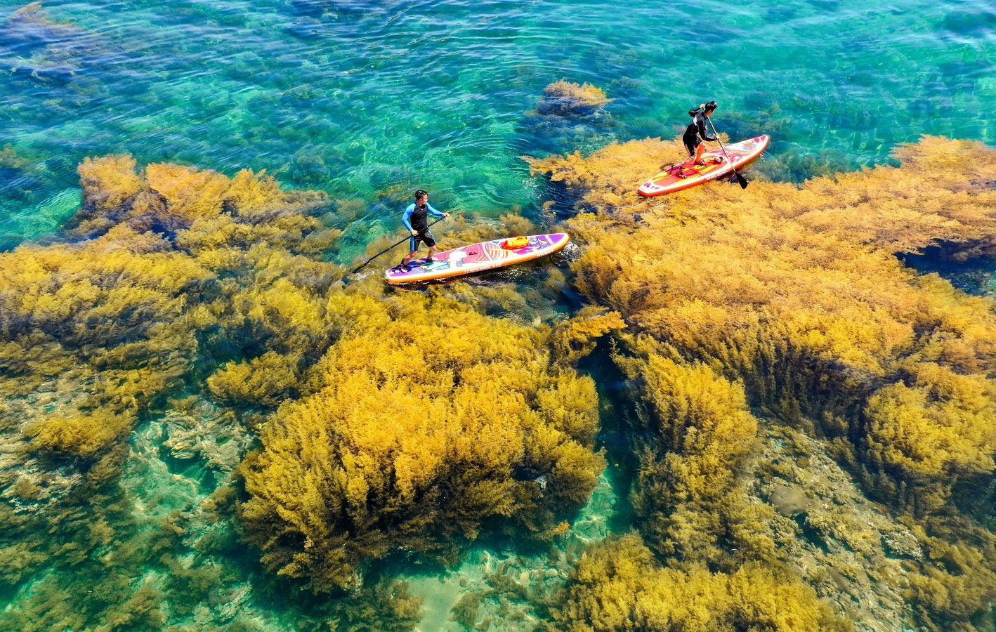 EXPERIENTIAL ACTIVITIES NOT TO MISS WHEN TRAVELING TO QUY NHƠN