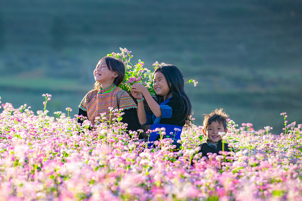 HOA TAM GIAC MACH HA GIANG