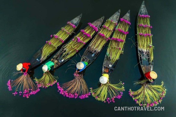 Mùa Nước Nổi Miền Tây – Sản Vật Thiên Nhiên Hấp Dẫn