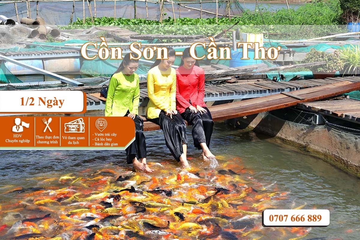 Tour Cồn Sơn Nửa Ngày