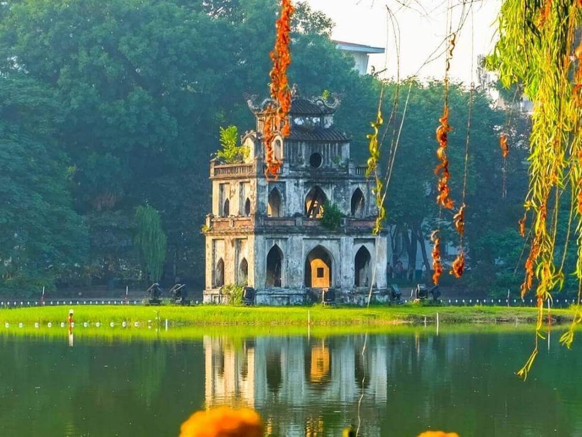 Tour trong nước